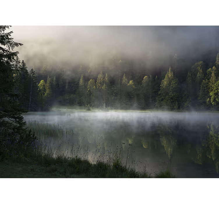 Papier peint nature Lever de soleil brumeux gris - TenStickers