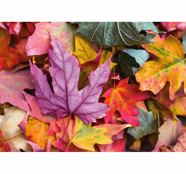 Tapisserie fleur motifs de feuilles colorés - TenStickers