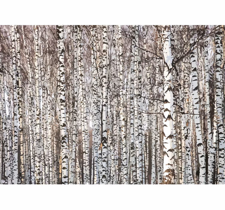 Tapisserie murale arbre forêt de bouleaux - TenStickers