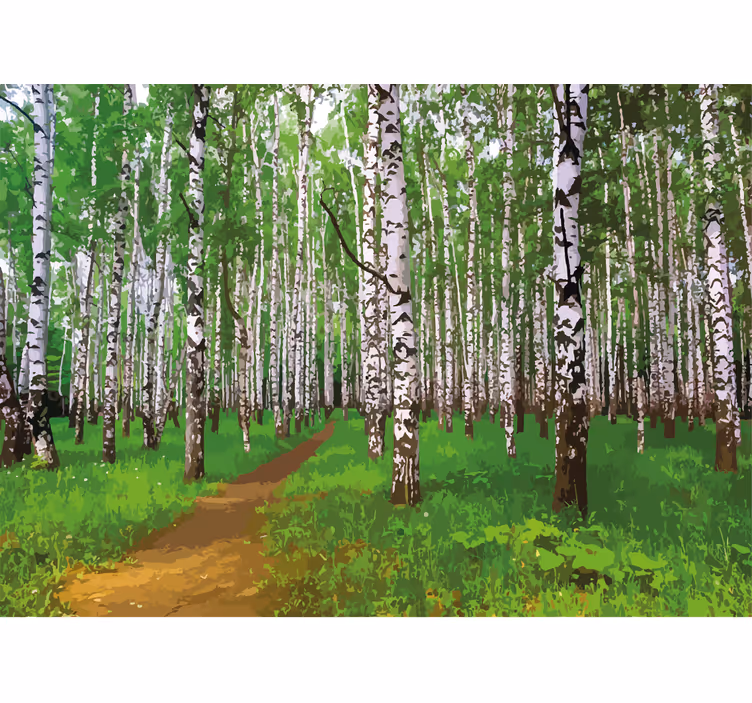 Tapisserie nature chemin en forêt de bouleaux - TenStickers