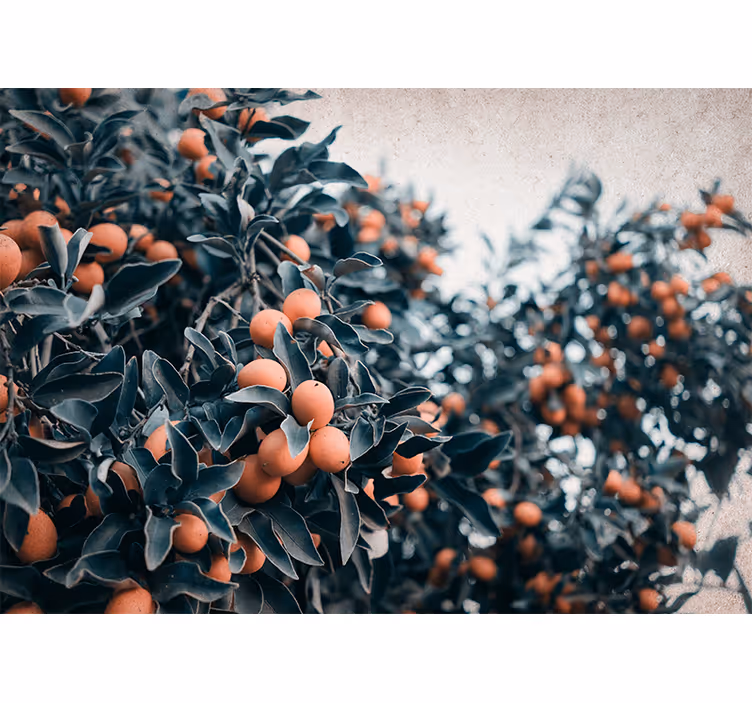 Papier peint salon Fruits orange sur arbre - TenStickers