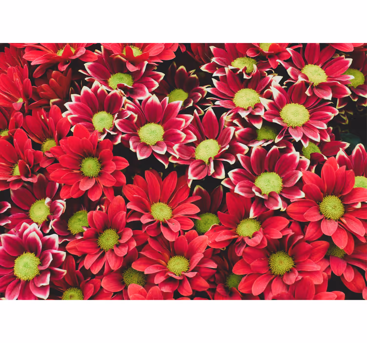 Tapisserie fleur composition de fleurs ecarlates - TenStickers