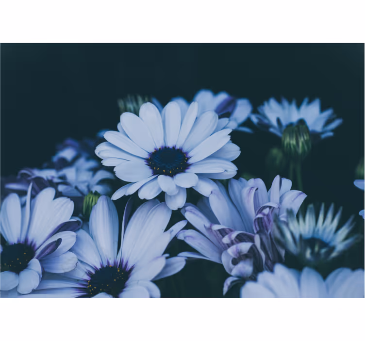 Tapisserie fleur arrangement floral serein - TenStickers