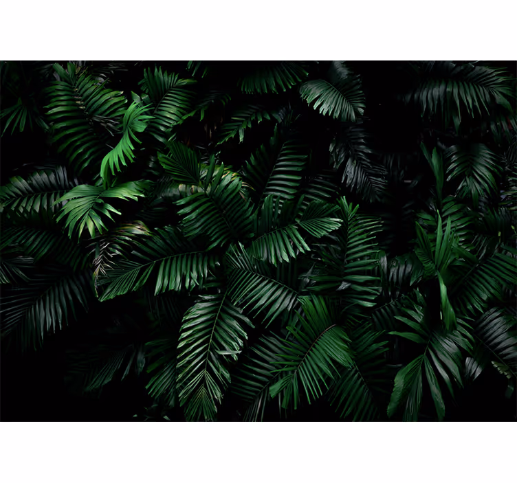 Papier peint moderne Plantes tropicales - TenStickers