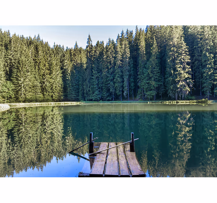 Papier peint mural forets Lac avec des arbres verts derrière - TenStickers
