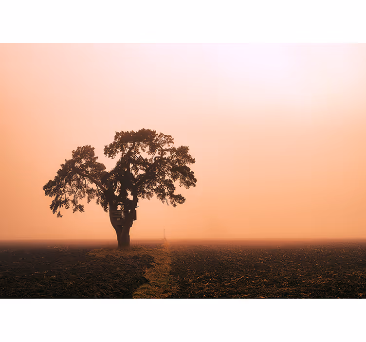 Tapisserie murale africaine arbre majestueux de la savane - TenStickers