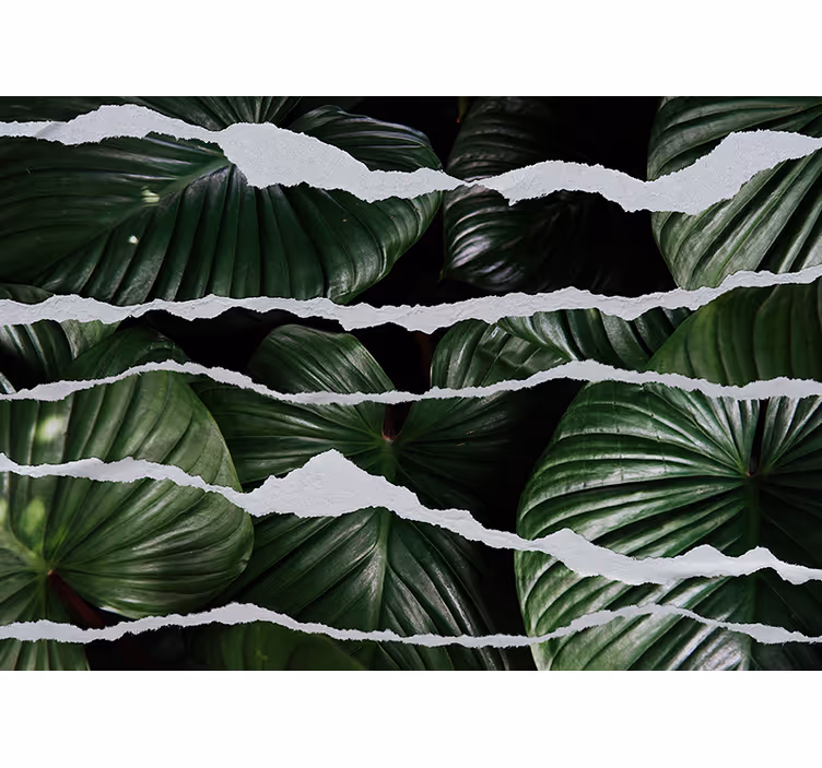 Tapisserie nature feuillage luxuriant - TenStickers
