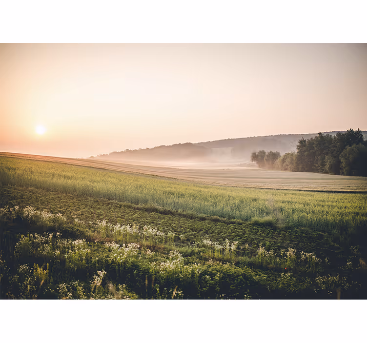 Tapisserie murale paysage prairies vertes tranquilles - TenStickers