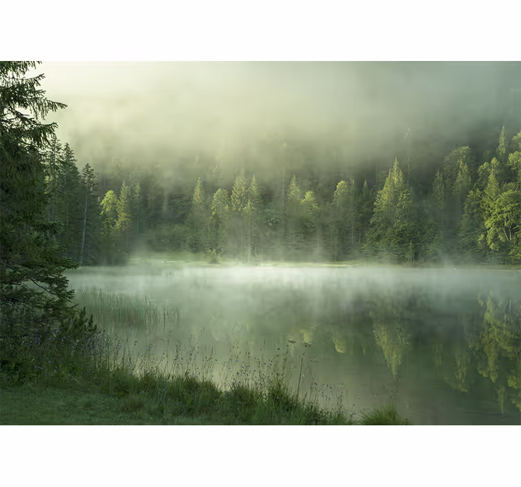 Papier peint mural montagne Arbres verts un jour brumeux - TenStickers