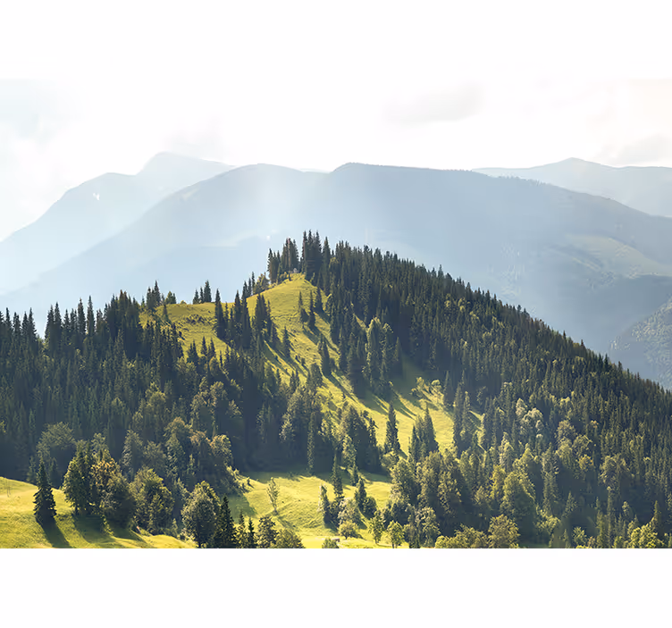 Tapisserie murale paysage forêt de montagne - TenStickers
