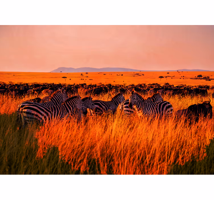 Tapisserie nature zèbres dans le serengeti - TenStickers