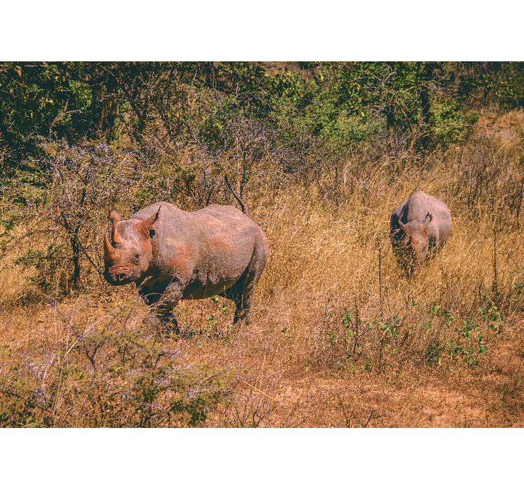 Papier peint mural Afrique Traversée de rhinocéros - TenStickers