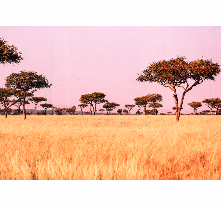 Papier peint mural Afrique Savane africaine originale - TenStickers