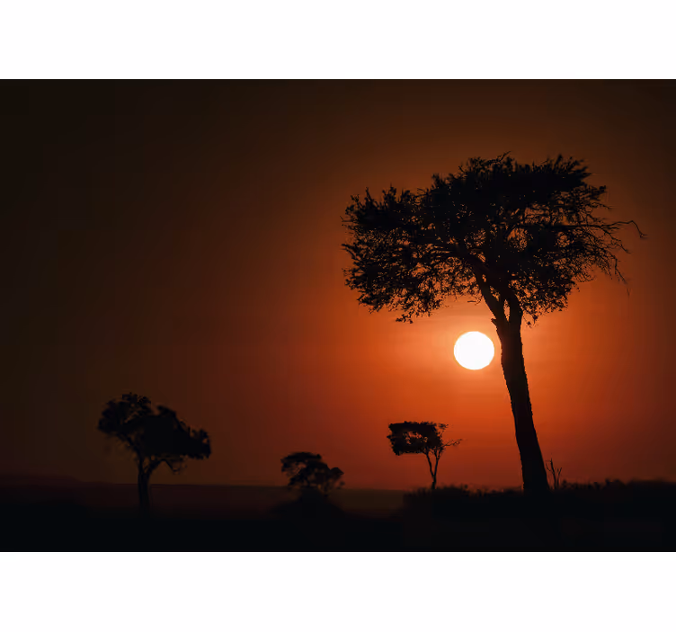 Tapisserie murale paysage silhouette coucher de soleil - TenStickers