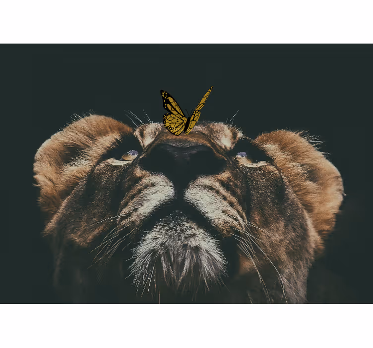 Papier peint mural Afrique Portrait de lion papillon - TenStickers