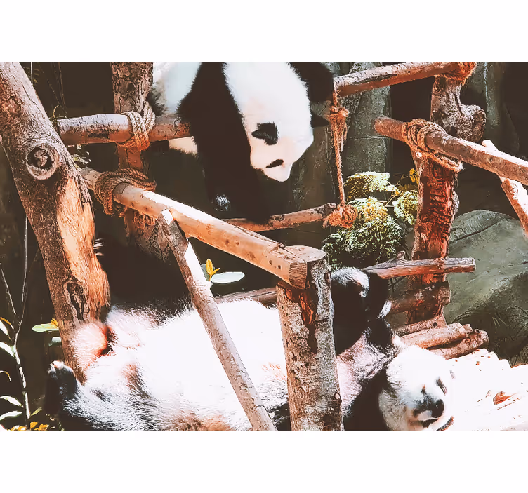 Tapisserie murale animaux scène de jeu avec panda - TenStickers