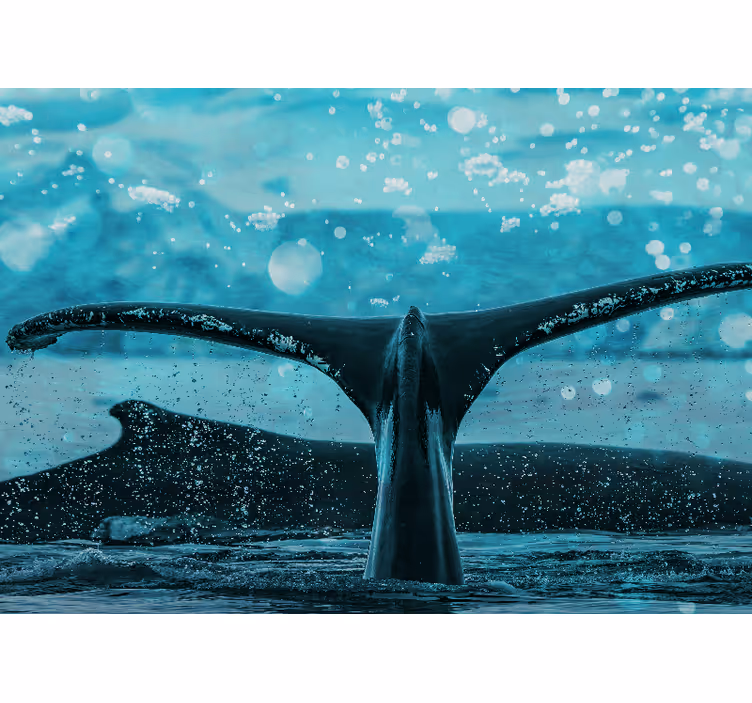 Tapisserie murale animaux Éclaboussure de queue de baleine - TenStickers