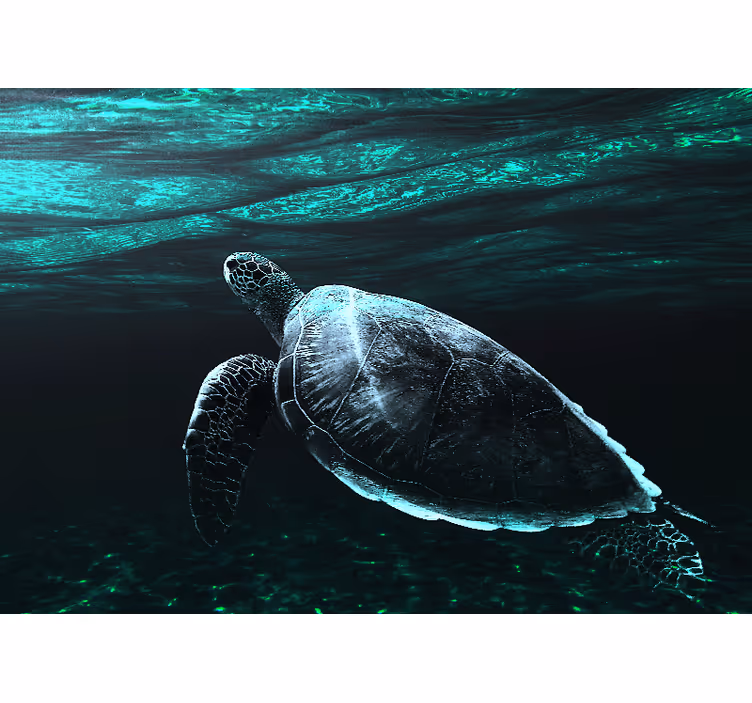 Tapisserie murale animaux tortue de mer majestueuse - TenStickers