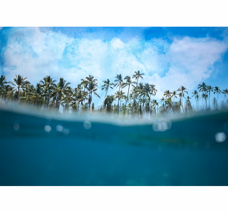 Tapisserie nature horizon de palmier - TenStickers