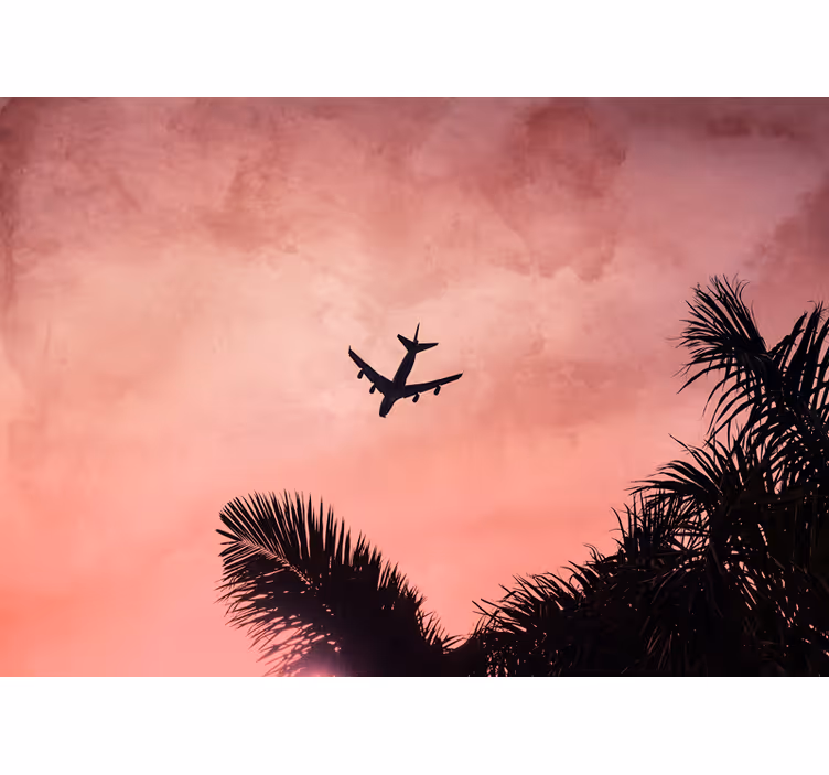 Tapisserie véhicules silhouette d'avion au crépuscule - TenStickers