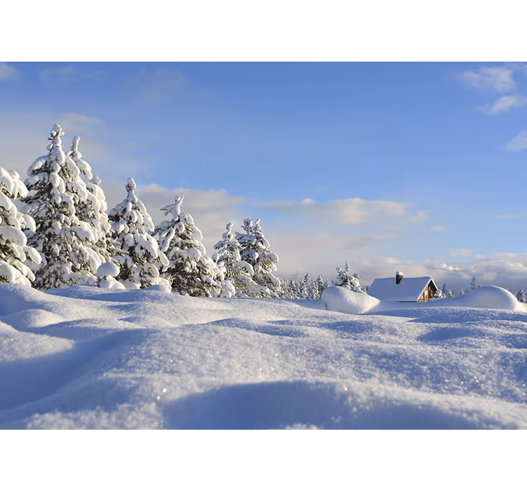 Tapisserie murale paysage scène enneigée d'hiver - TenStickers