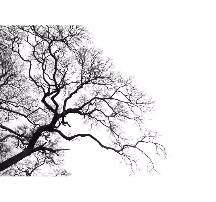 Tapisserie murale arbre silhouette de branches nues - TenStickers