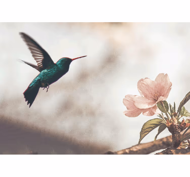 Tapisserie murale animaux colibri et fleur - TenStickers