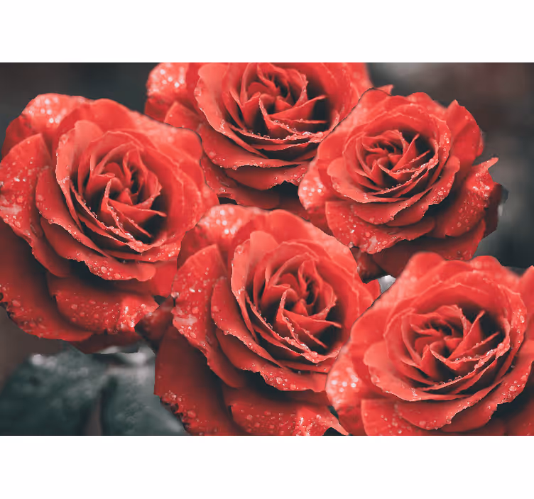 Papier peint mural roses Grandes roses rouges - TenStickers