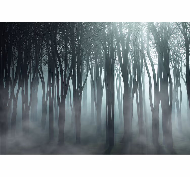 Papier peint nature Grands arbres et brouillard - TenStickers