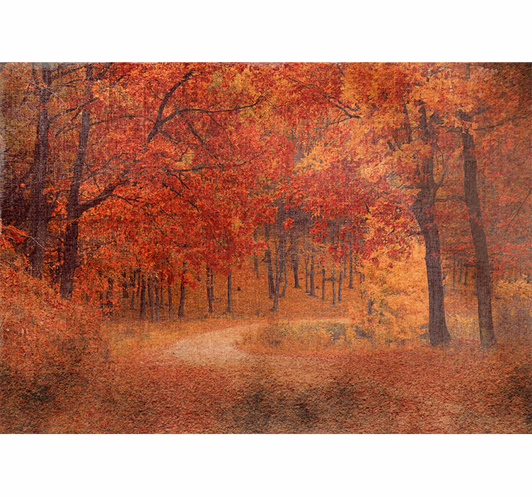 Photo murale arbres feuilles rouges et oranges - TenStickers
