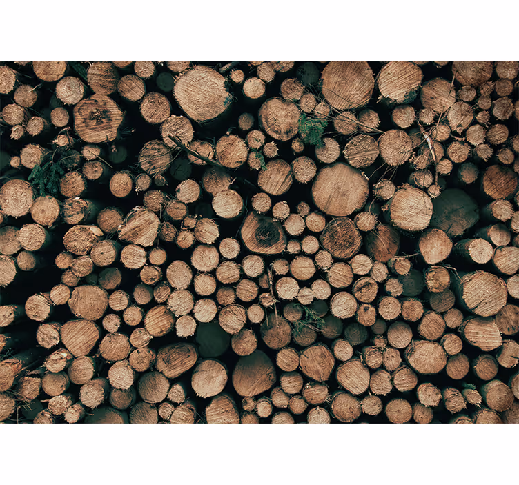 Papier peint bois s photo en bois empilé marron - TenStickers