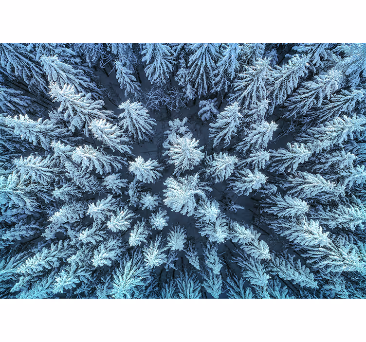 Tapisserie nature forêt de pins gelés - TenStickers