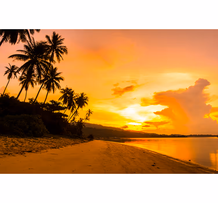 Photo murale coucher de soleil tropical - TenStickers