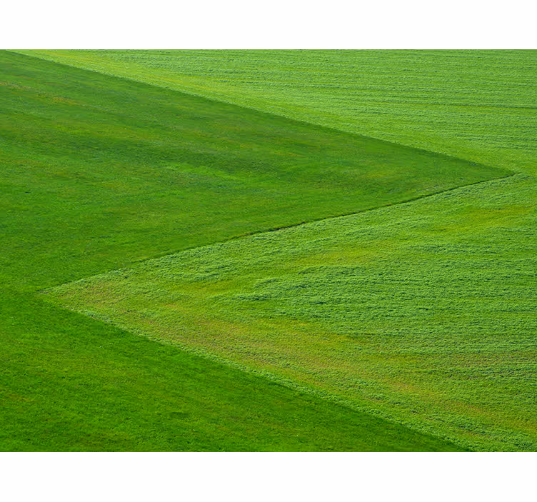 Tapisserie nature champs verts purs - TenStickers