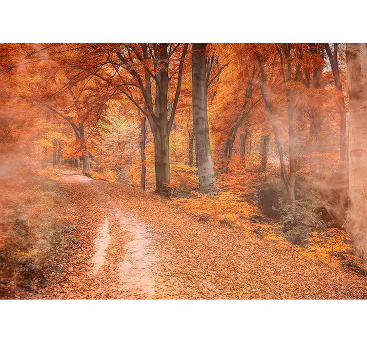 Tapisserie nature chemin d'automne - TenStickers