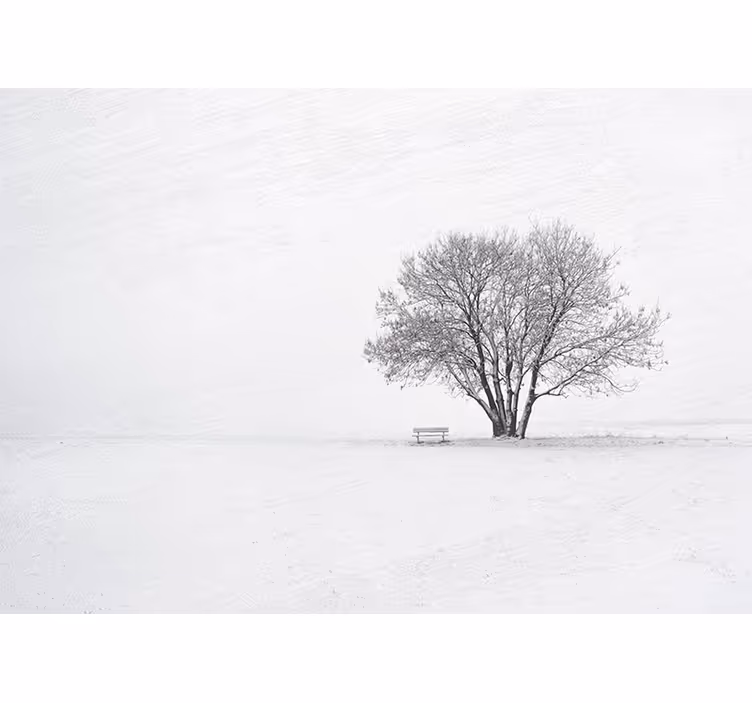 Papier peint mural arbres Forêt d'hiver de style scandinave - TenStickers