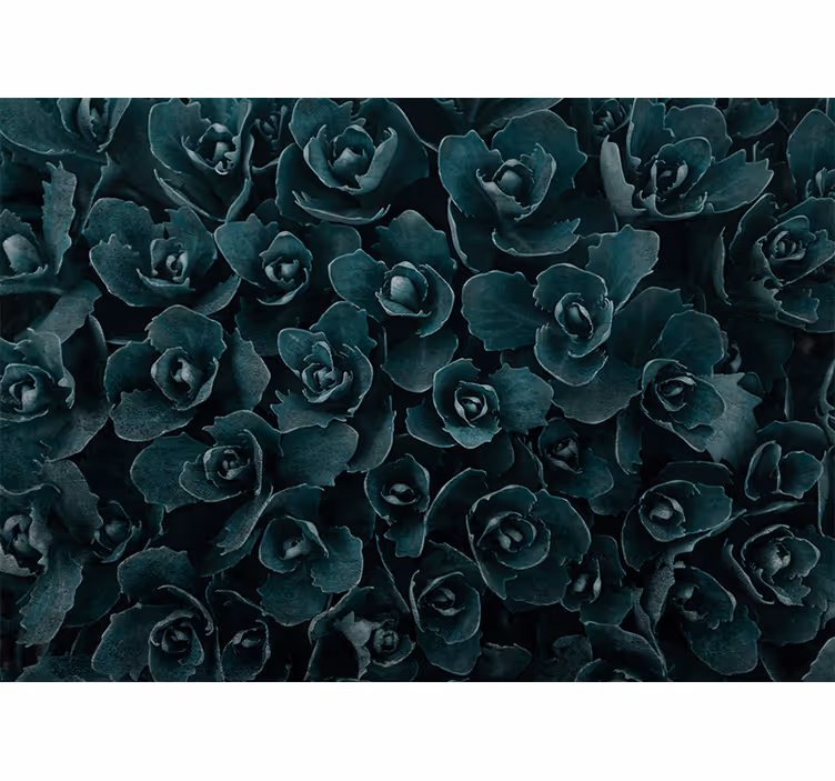 Tapisserie fleur Éclosion de roses Élégantes - TenStickers