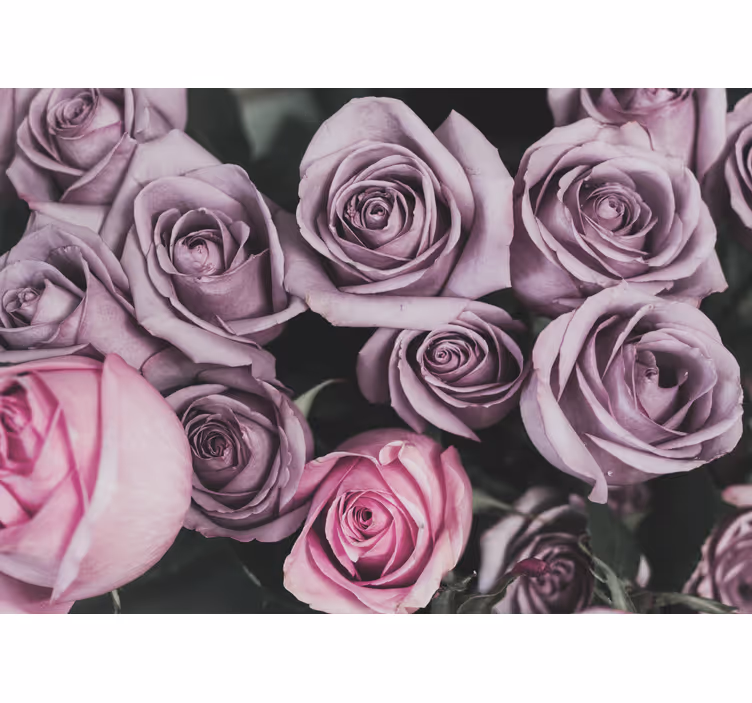 Tapisserie fleur bouquet de roses lavande - TenStickers