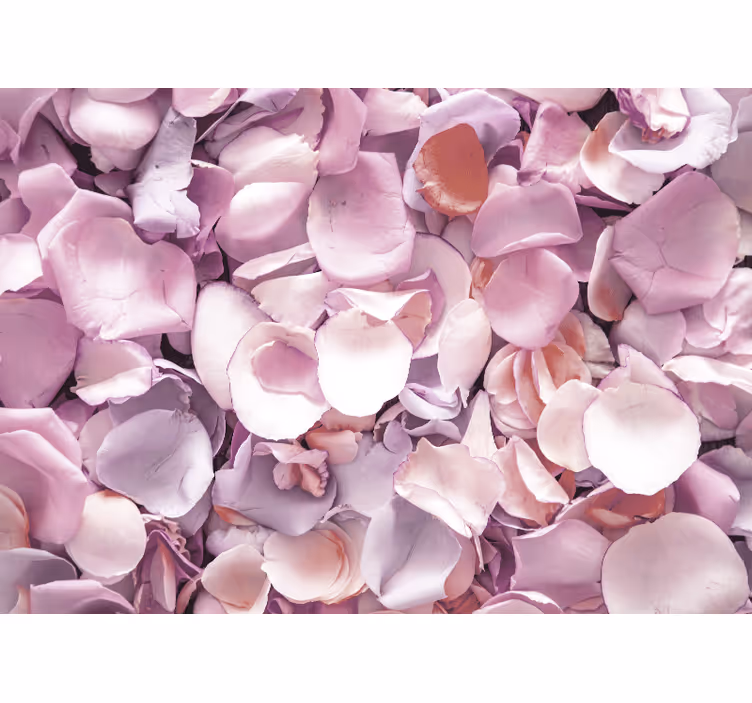 Tapisserie fleur gros plan sur pétale de rose - TenStickers