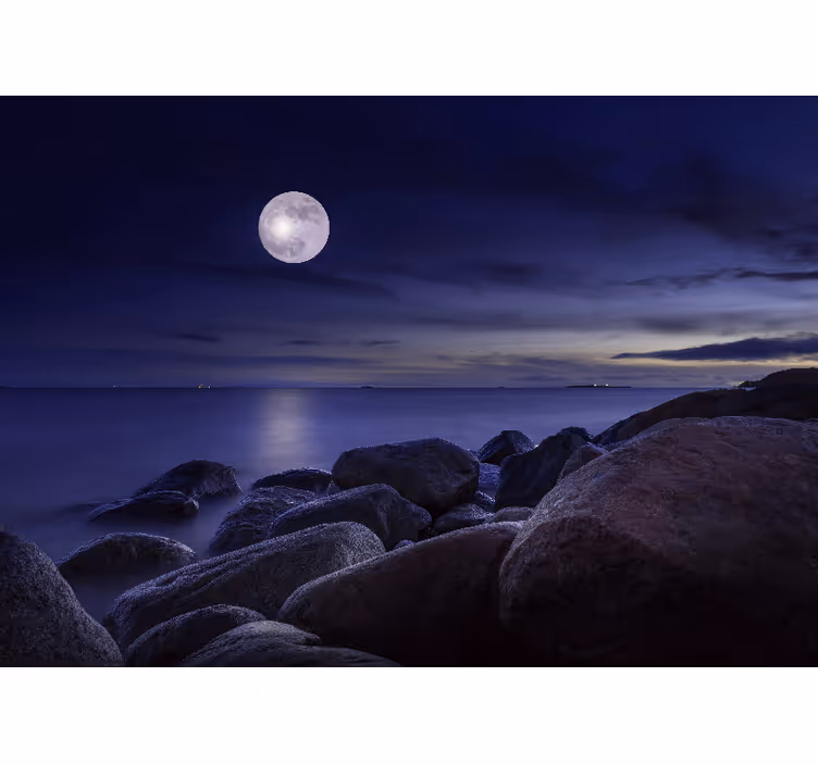 Papier peint intissé chambre adulte Violet clair de lune - TenStickers