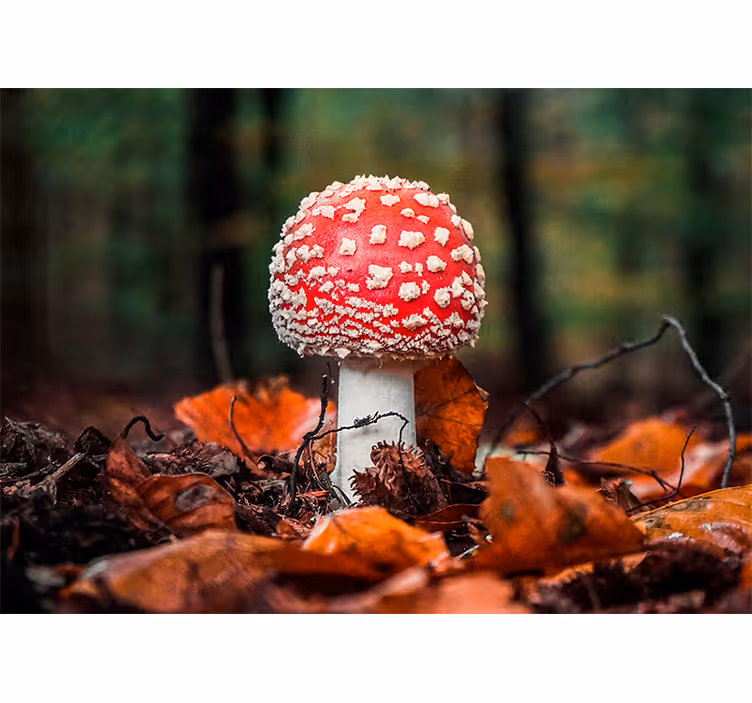 Tapisserie nature champignon rouge à pois blancs - TenStickers