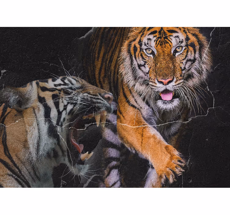 Tapisserie murale animaux rencontre avec le tigre majestueux - TenStickers