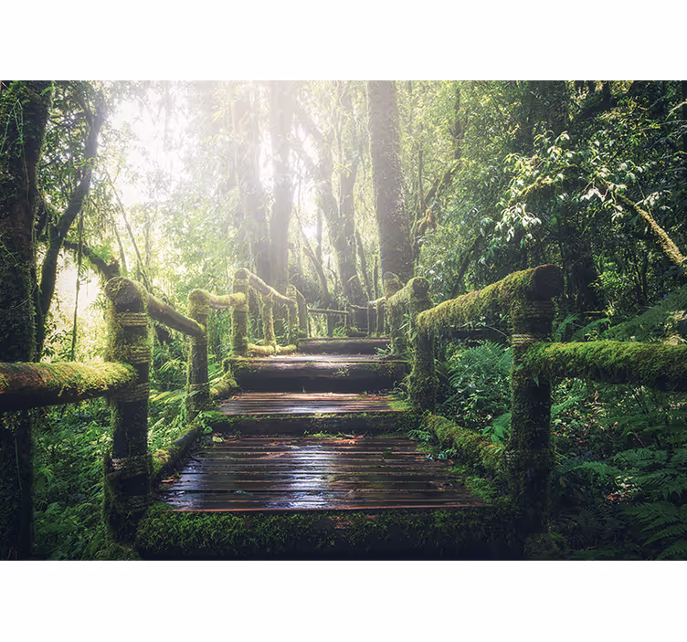 Tapisserie nature sentier forestier luxuriant - TenStickers