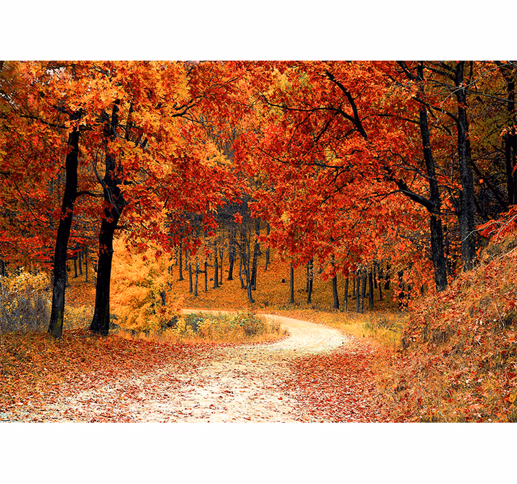 Papier peint mural arbres Forêt de feuilles rouges - TenStickers