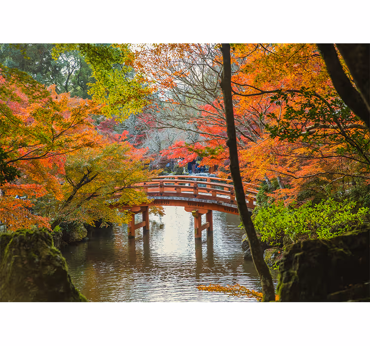 Papier peint mural arbres Forêt 'jardin japonais' - TenStickers