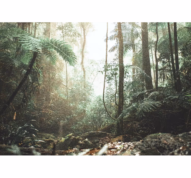 Tapisserie forêt sérénité de jungle luxuriante - TenStickers