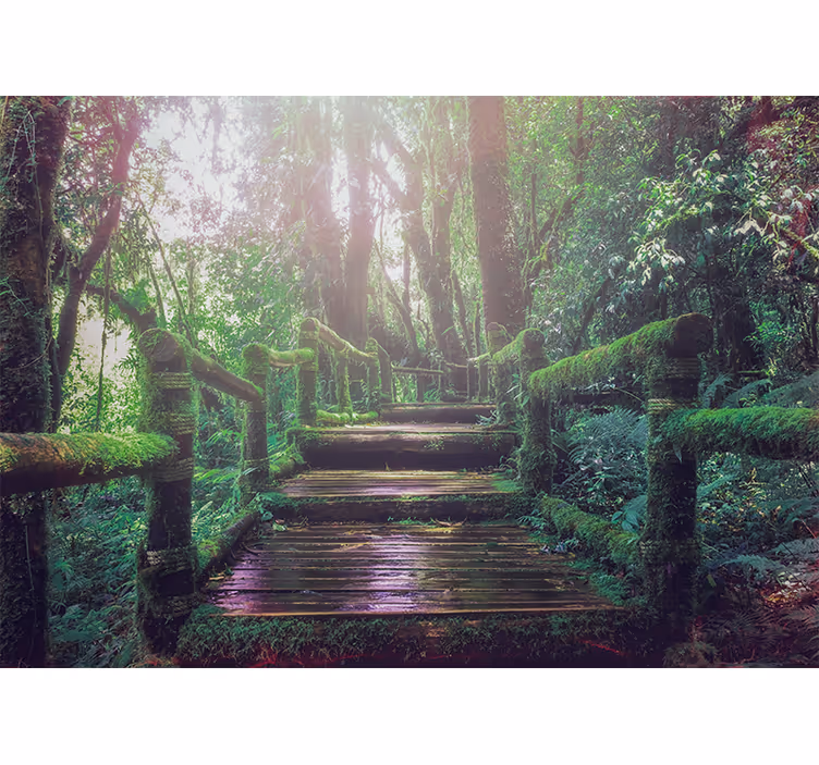 Tapisserie nature chemin forestier moussu - TenStickers