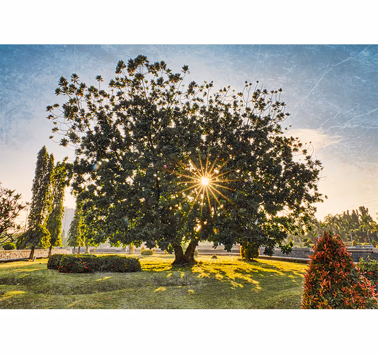 Tapisserie nature vue d'arbre ensoleillée - TenStickers