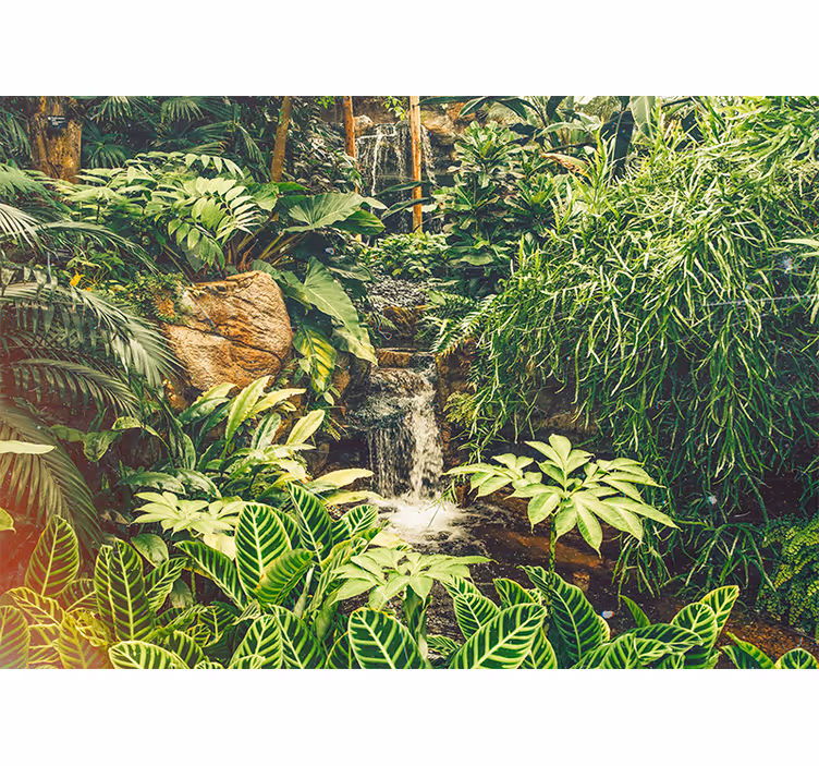 Papier peint mural forets Beau vert tropical - TenStickers
