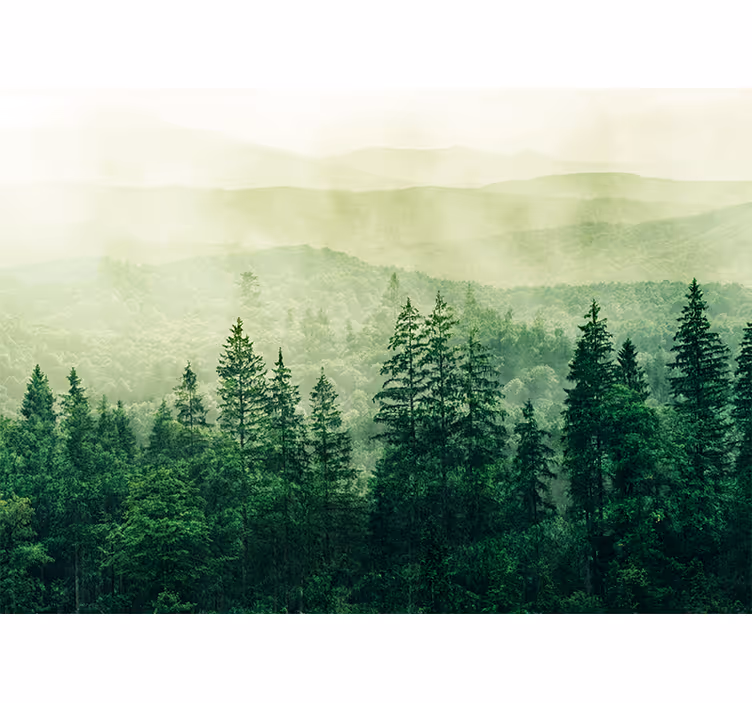 Papier peint mural forets Colline verte de la cime des arbres - TenStickers